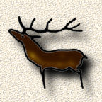 Deer2.jpg