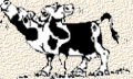 deathcow