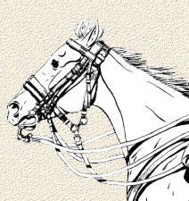 Horsehead1.jpg