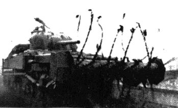 Crabflail.jpg