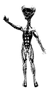 Alisketch.jpg