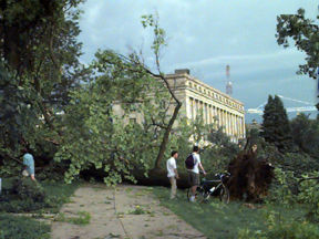 storm2.jpg
