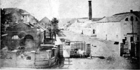 Massarat.jpg